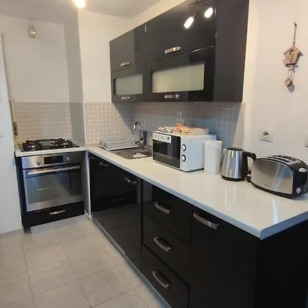 Rose Garden Colentina Apartment *