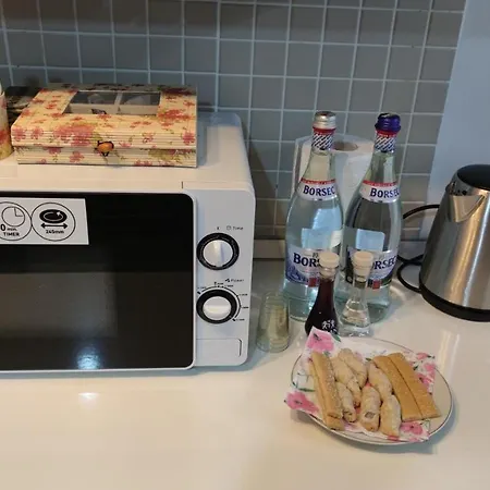 Rose Garden Colentina 公寓 *