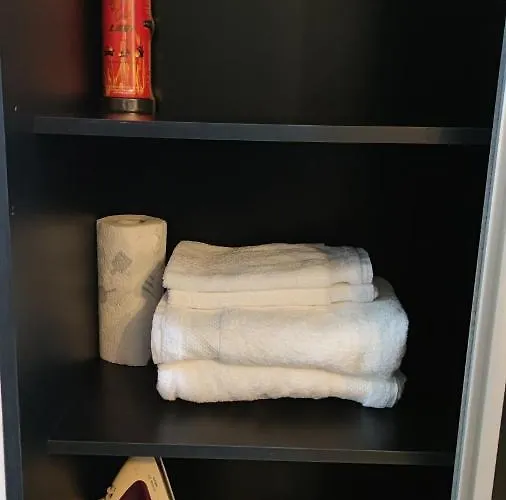 Rose Garden Colentina *