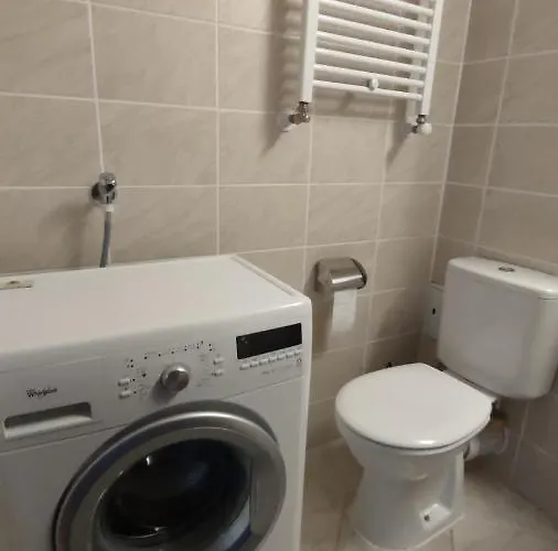 Apartament Rose Garden Colentina *