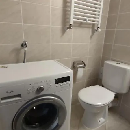 Apartment Rose Garden Colentina *