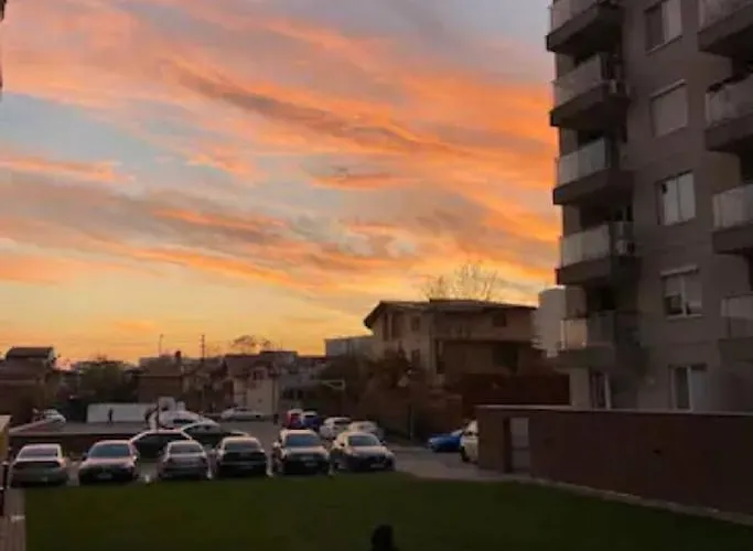 Apartman Rose Garden Colentina